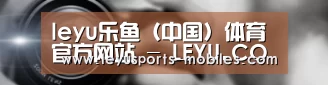 公司动态