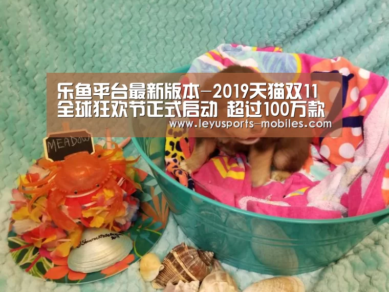 乐鱼平台最新版本-2019天猫双11全球狂欢节正式启动 超过100万款为首次发布新品(图2) 乐鱼平台最新版本