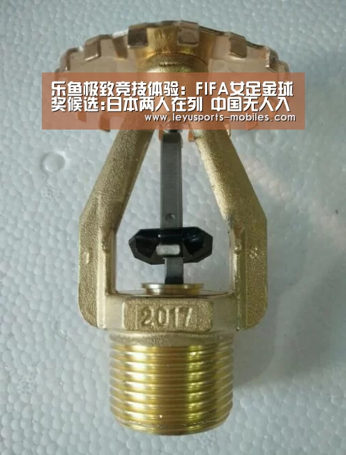 乐鱼平台最新版本
