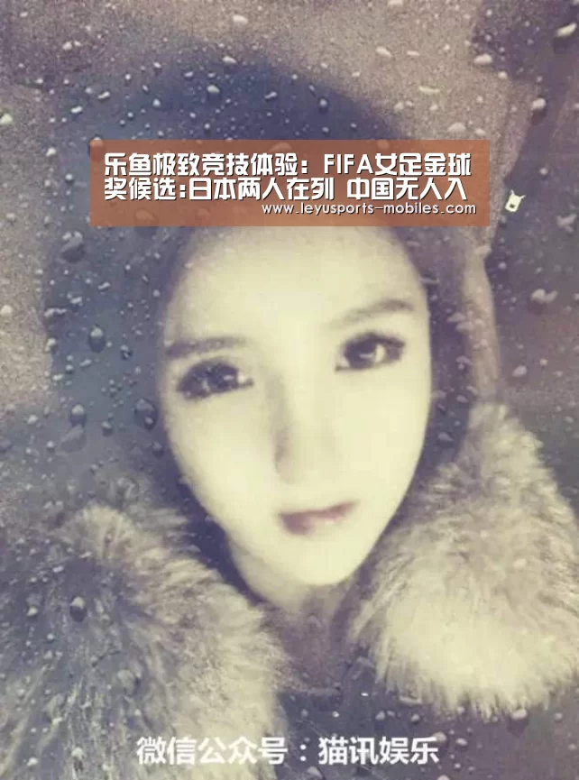 乐鱼平台最新版本
