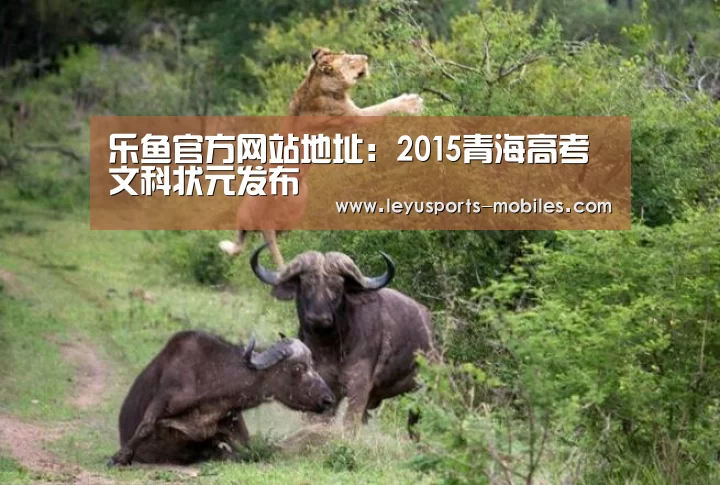 乐鱼官方网站地址:2015青海高考文科状元发布(图2) 乐鱼体育App下载