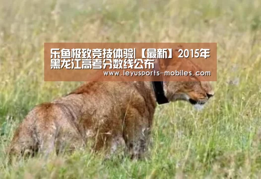 乐鱼极致竞技体验|【最新】2015年黑龙江高考分数线公布(图1) 乐鱼极致竞技体验