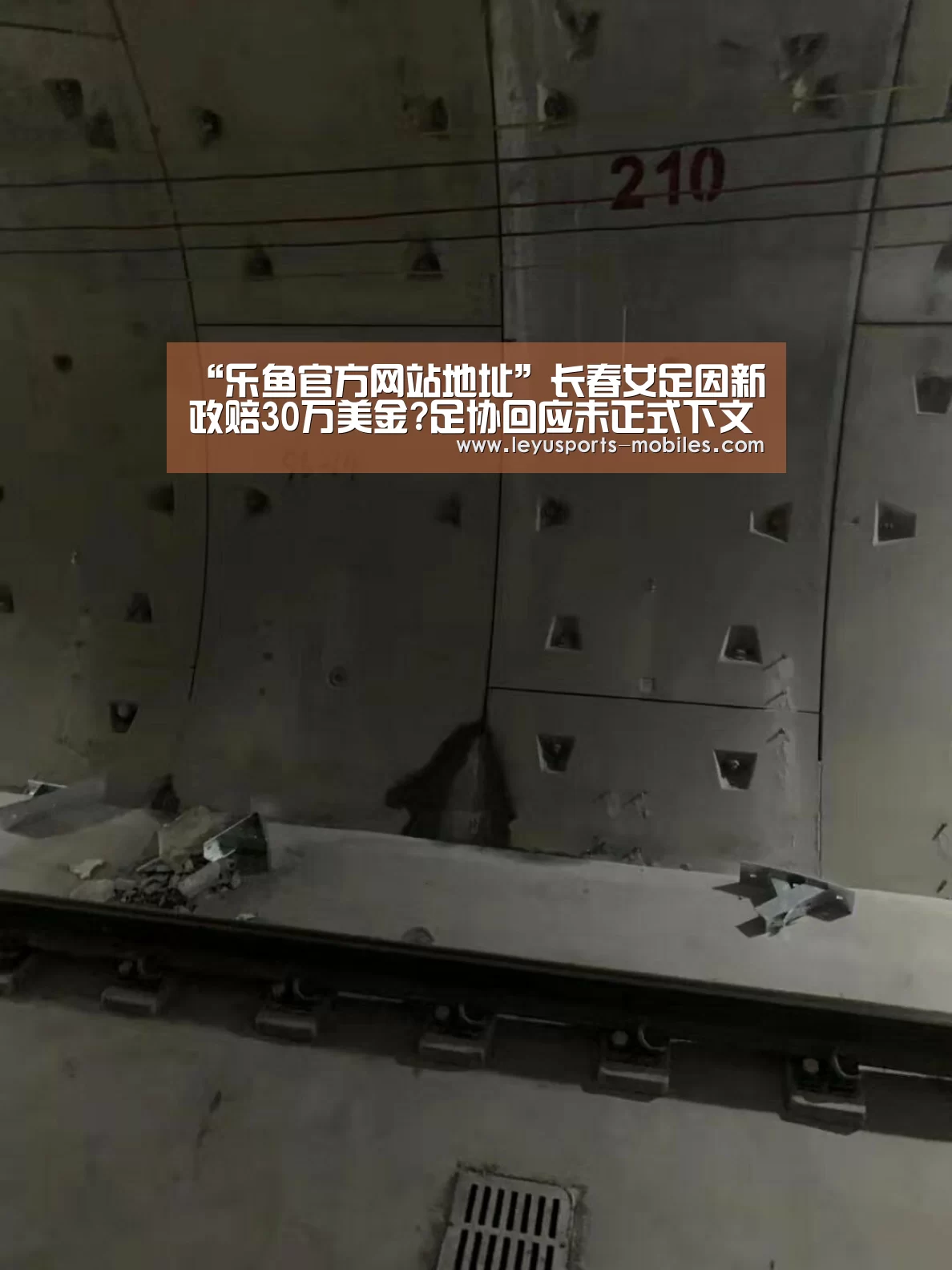 乐鱼官方网站地址